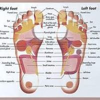 Healing Micky-Alcabideche必去景点