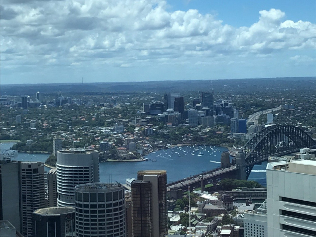 悉尼塔+历险澳洲景点图片