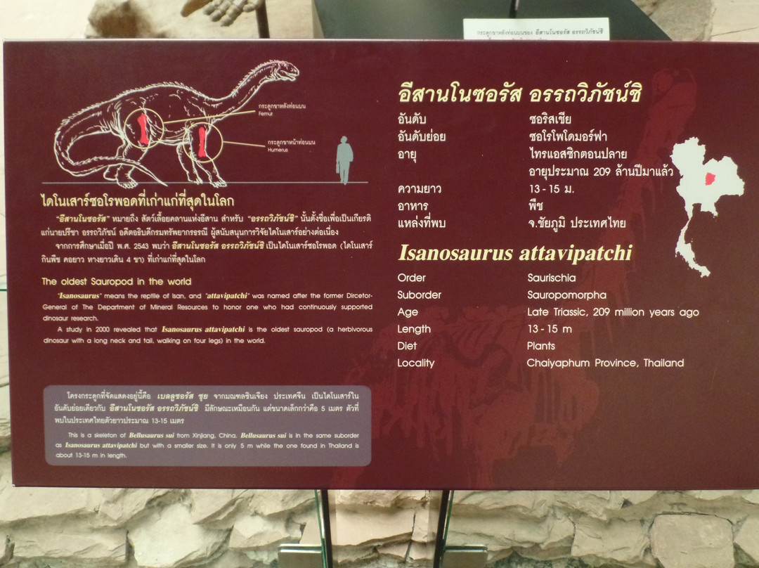 Kalasin Museum-加拉信必去景点