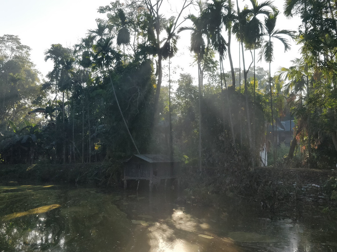 Infinity Resorts Kaziranga主图