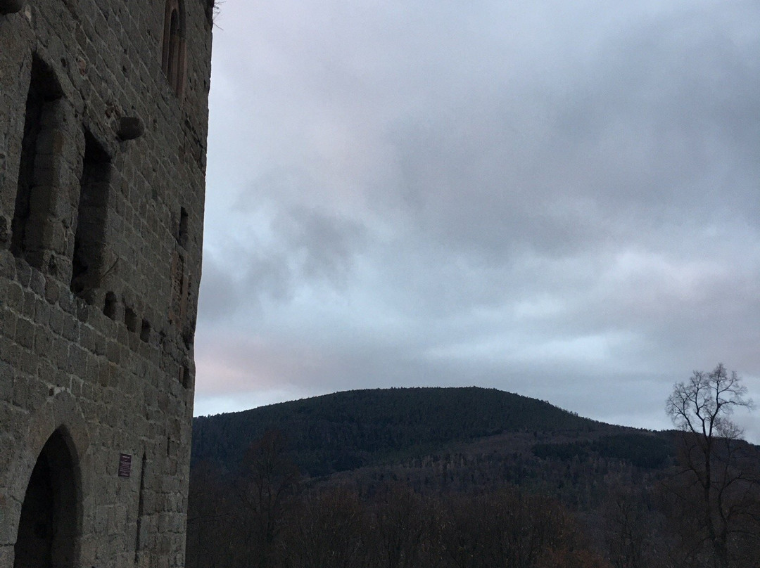 Château d'Andlau景点图片