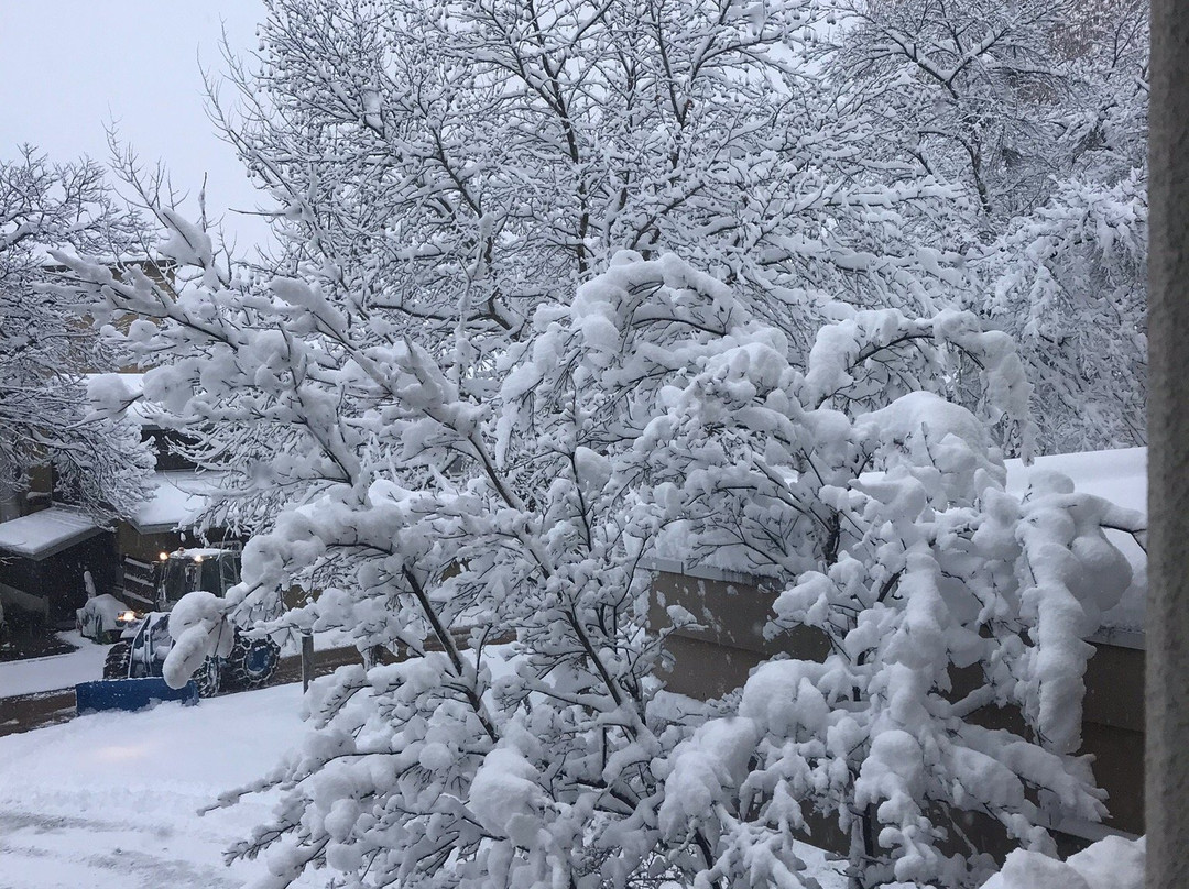 白马泉酒店主图