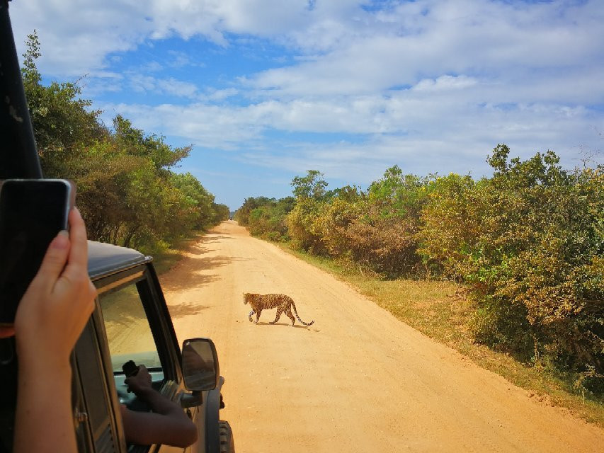 Sasindu Safari Jeep Tours-雅拉国家公园必去景点