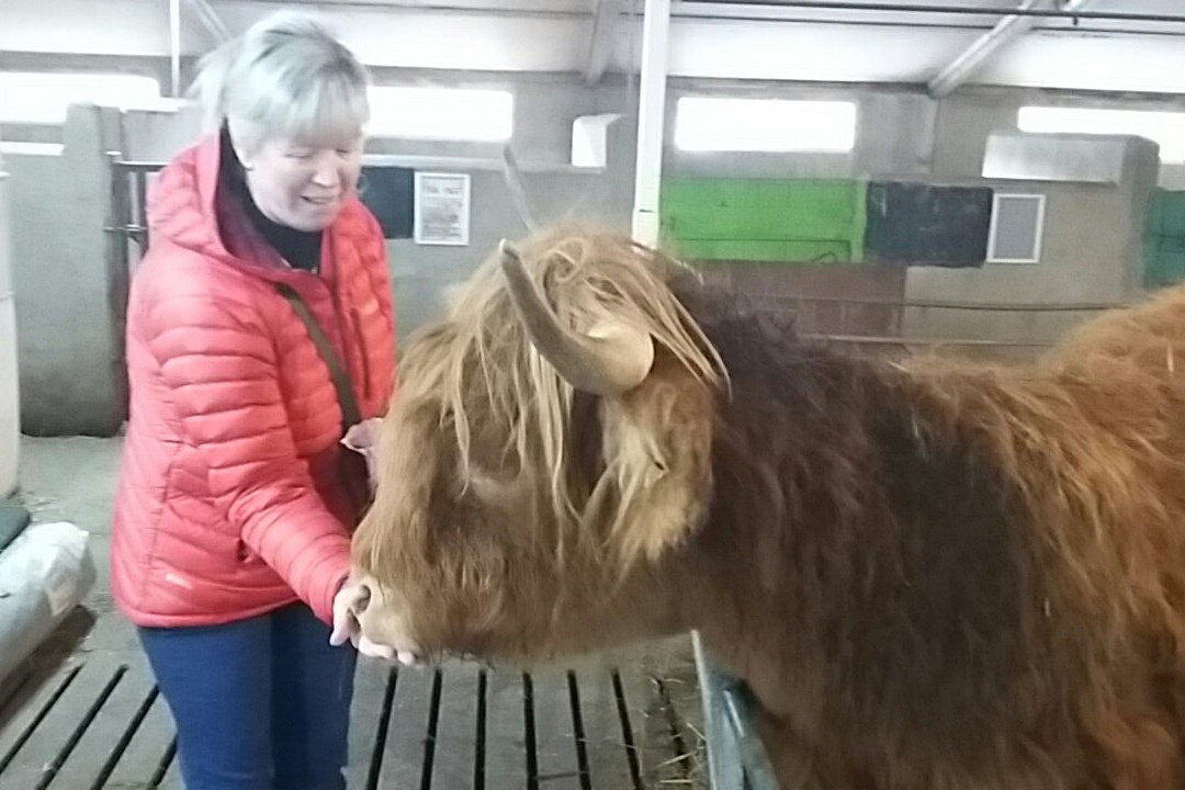 Wetheriggs Animal Rescue-Barnard Castle必去景点