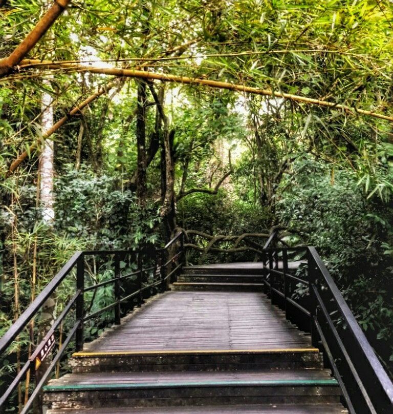 呀诺达雨林文化旅游区景点图片