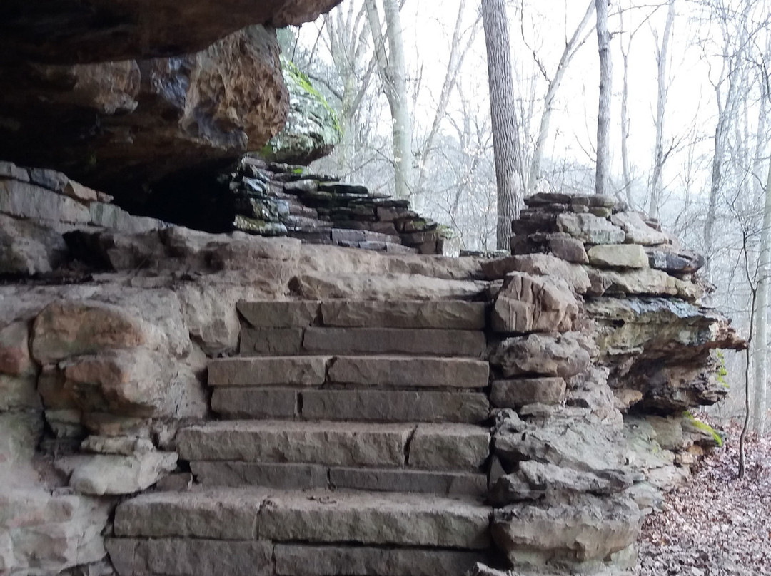 Bell Smith Springs-Ozark必去景点