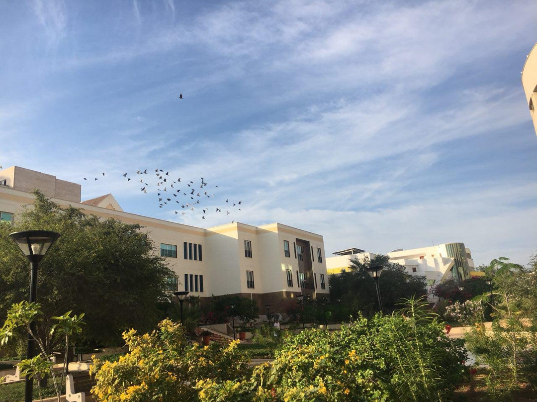 Flamingo Hotel主图