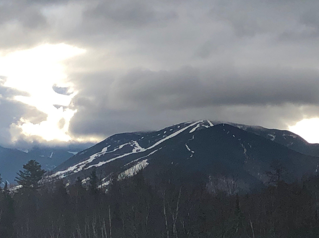 Gale River Motel and Cottages主图