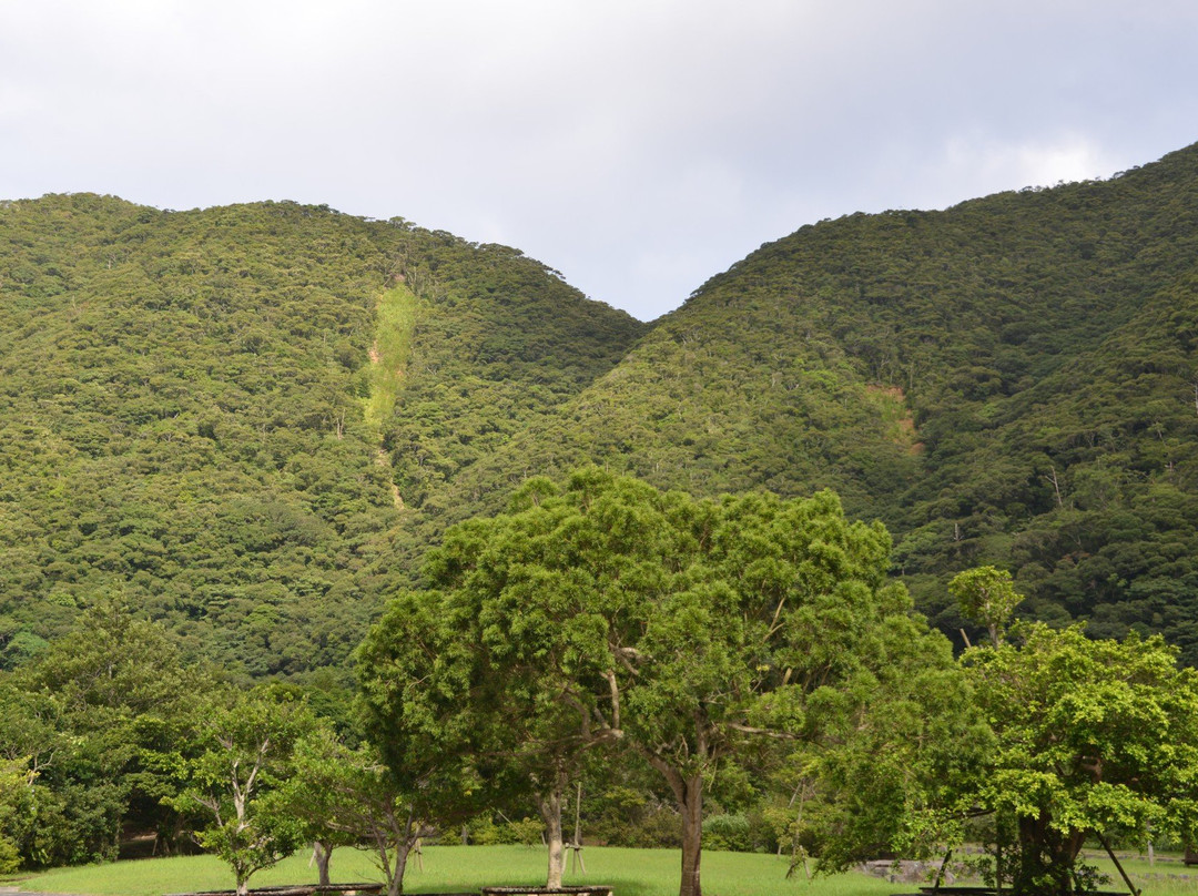 Amami Wildlife Center景点图片