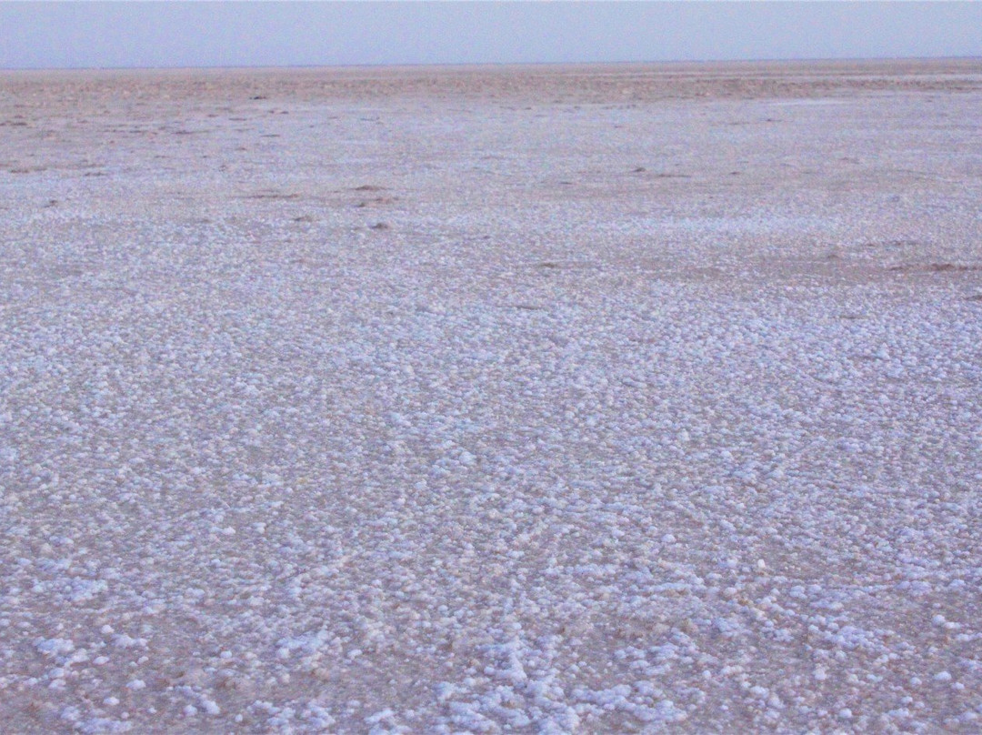 Gujarat Four Wheel Drive景点图片
