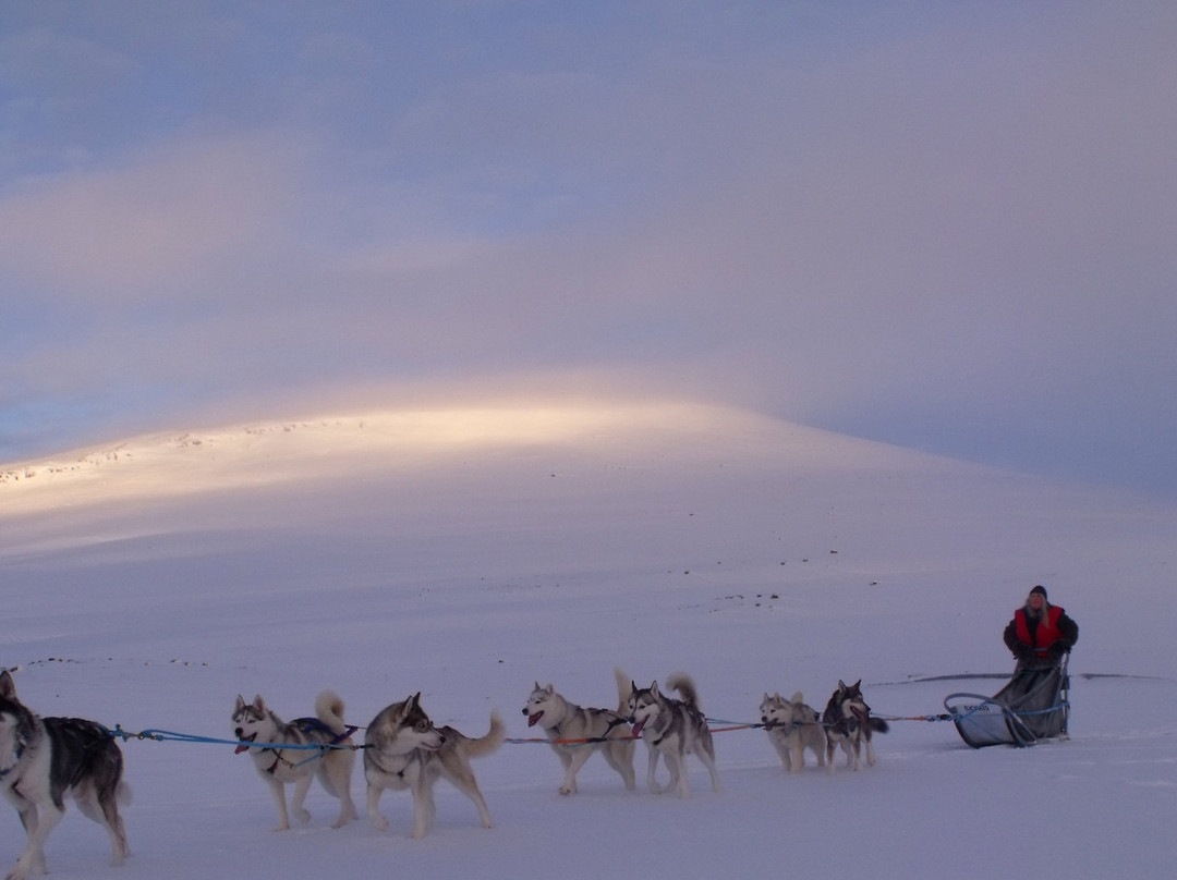Safaris - The Lapland Connection-Kilpisjarvi必去景点