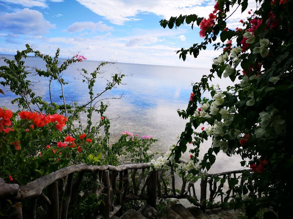 东方伽蓝花园度假村主图