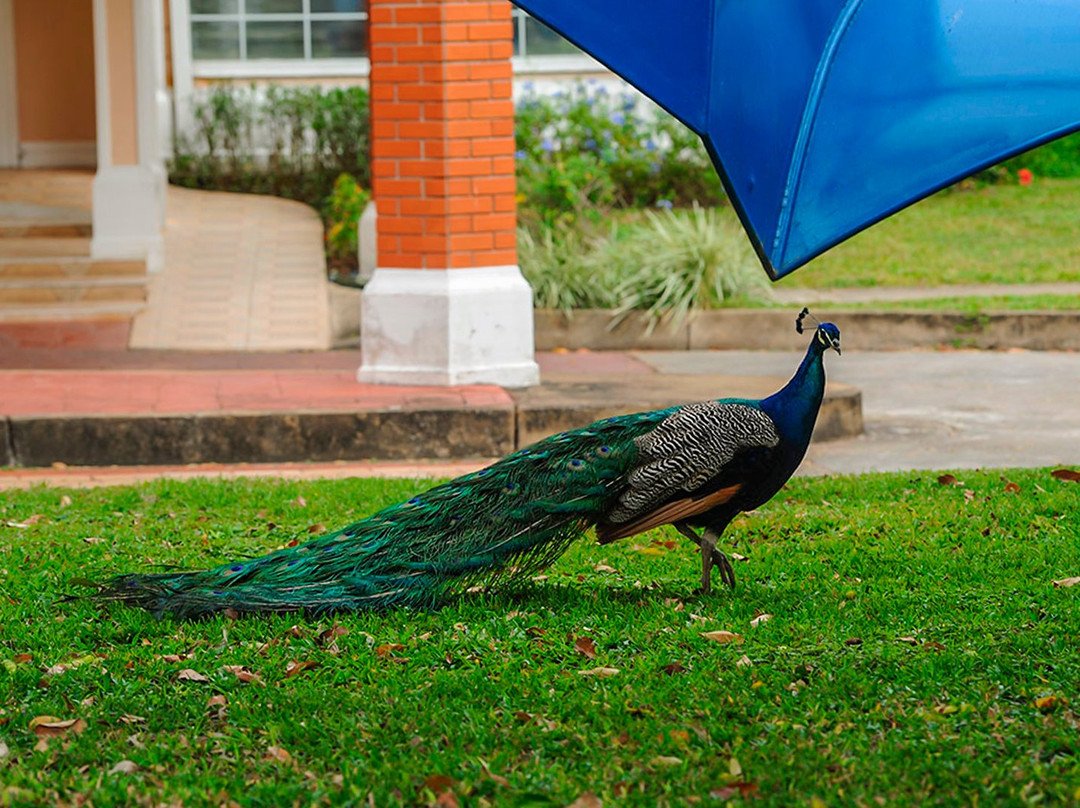 San Miguel Hotel, Golf & Club主图