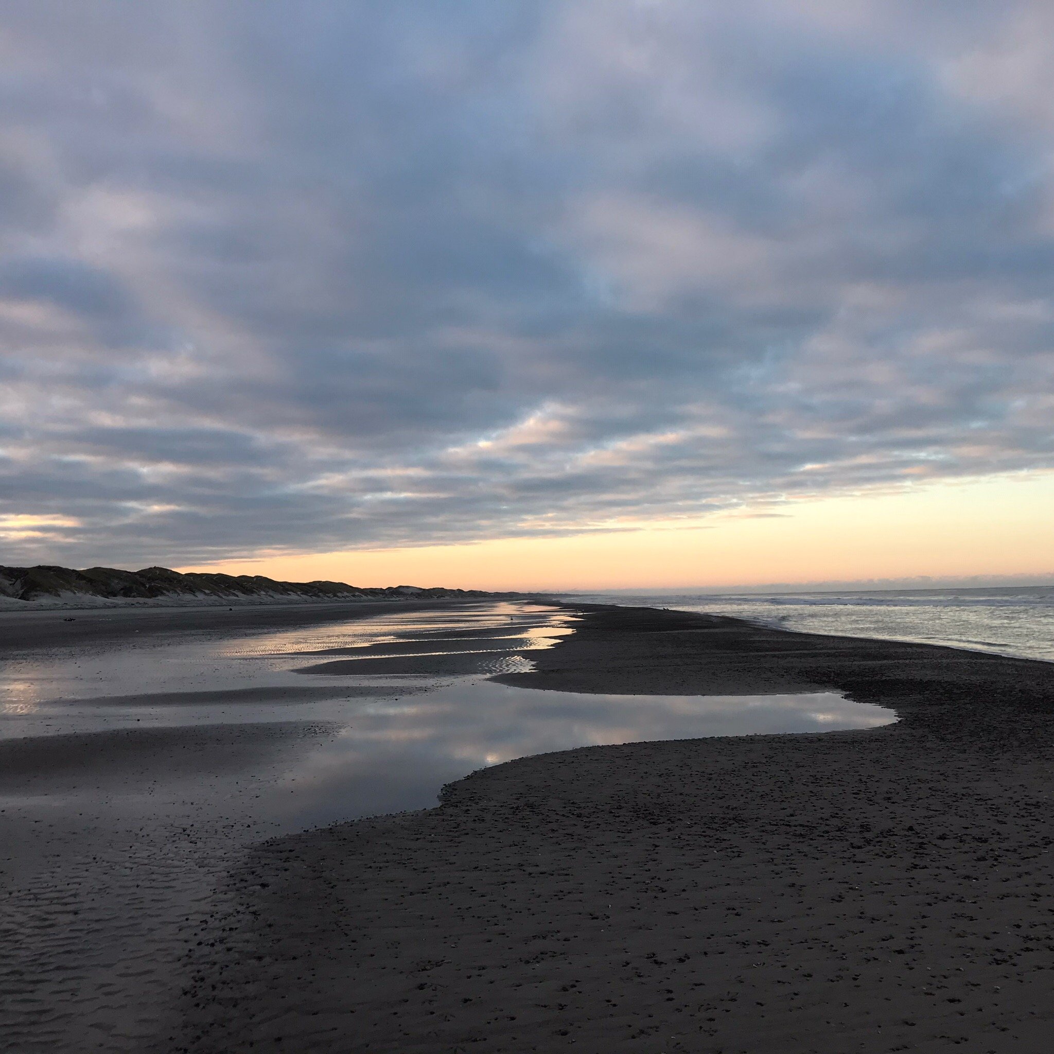 Klitgaarden Henne Strand-官方