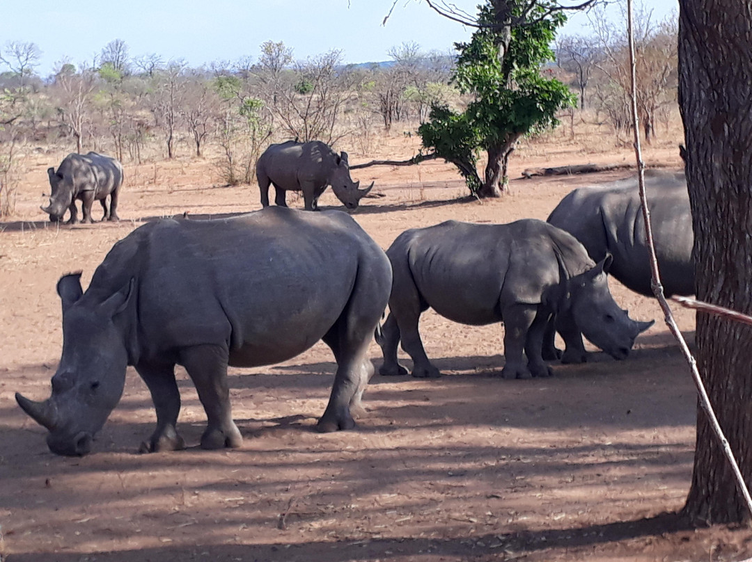Tour All Africa