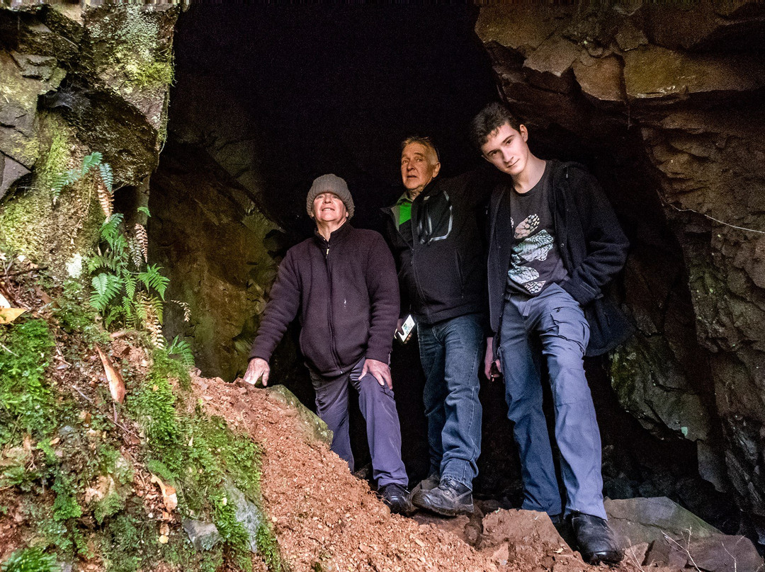 Magnet Tarkine Tours-Waratah必去景点