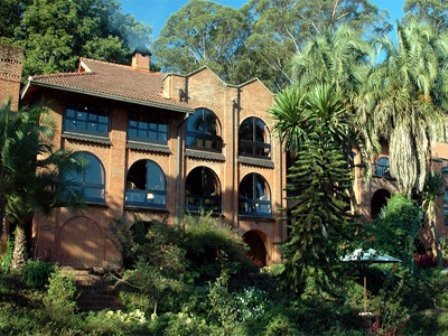 Sunbird Ku Chawe主图