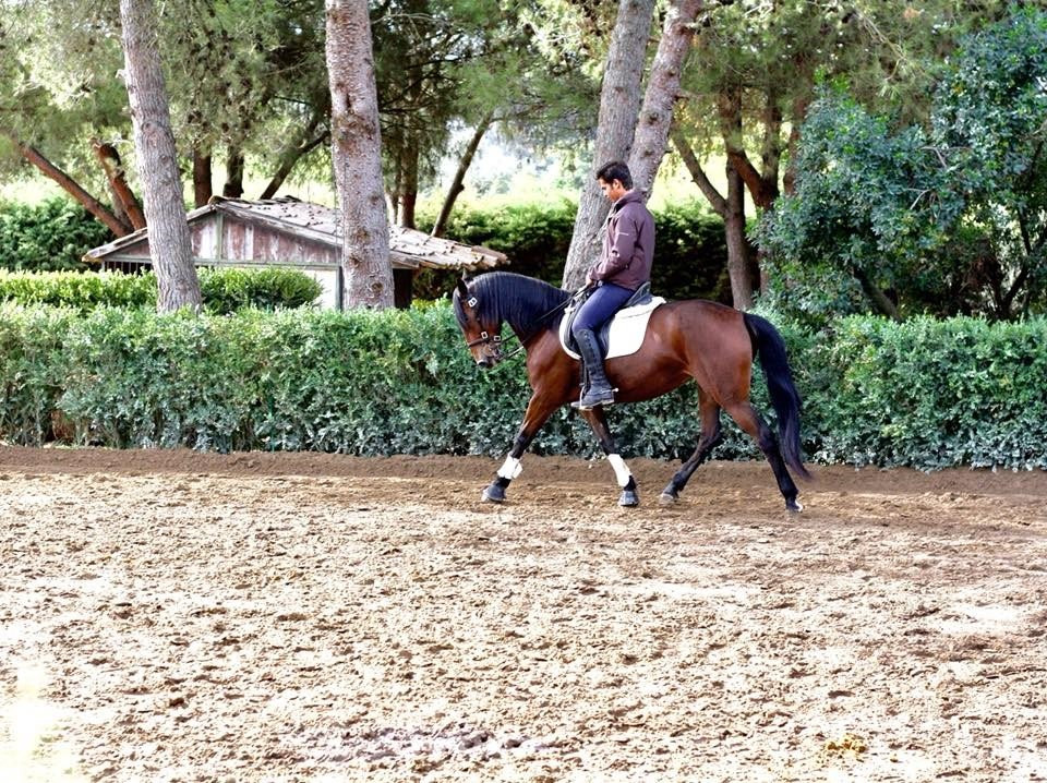 Horse Riding Center Picadeiro d'Arrábida-Vila Nogueira de Azeitao必去景点