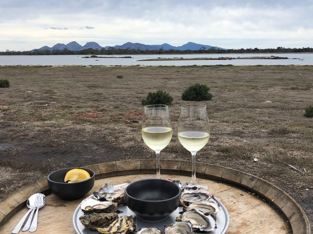 Oyster Bay Tours-科尔斯湾必去景点