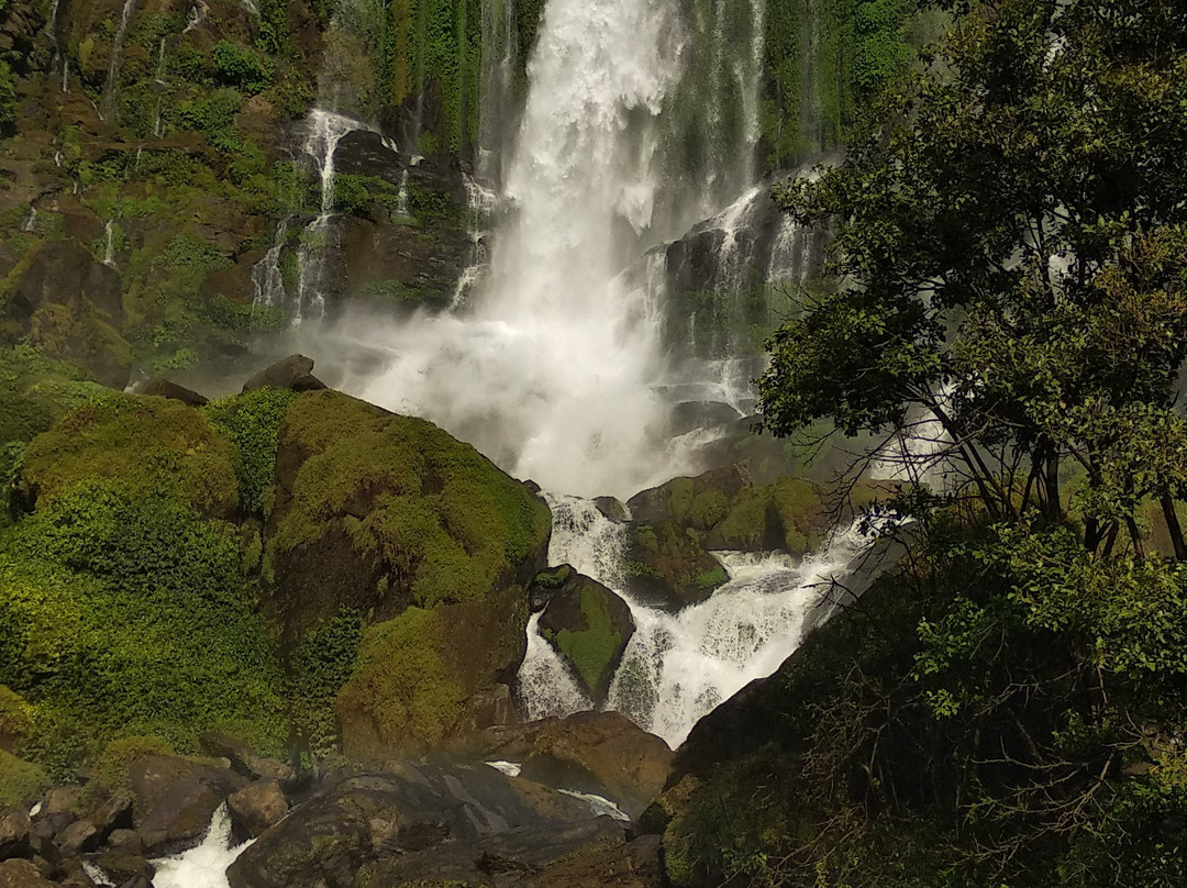 Bhelughat Waterfall景点图片