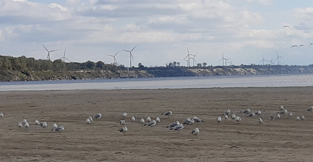 East Beach-Port Burwell必去景点
