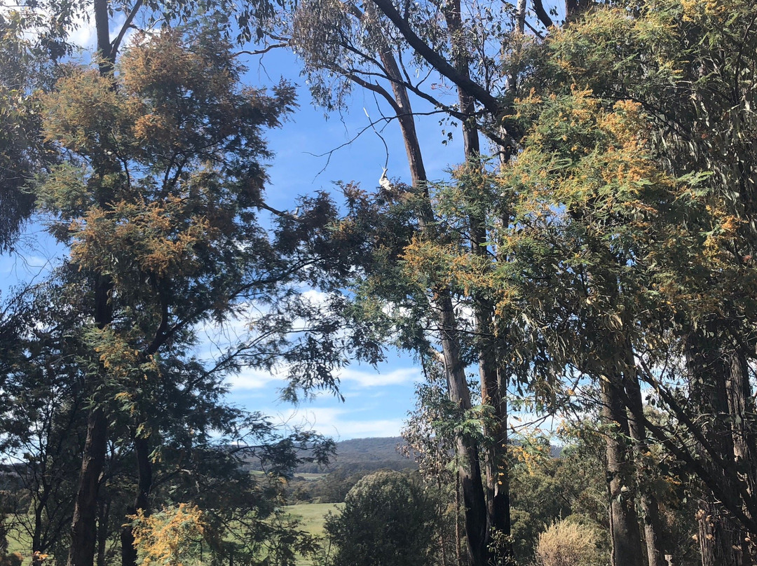 Pennyweight Winery-比奇沃思必去景点