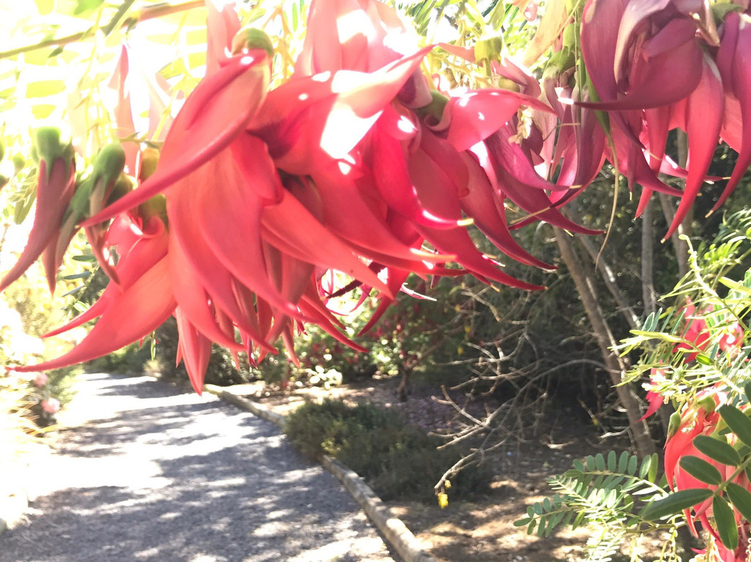 Waipahihi Botanical Gardens景点图片