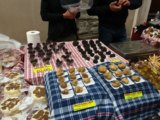 Tartufi Elio Ratti-阿尔巴必去景点