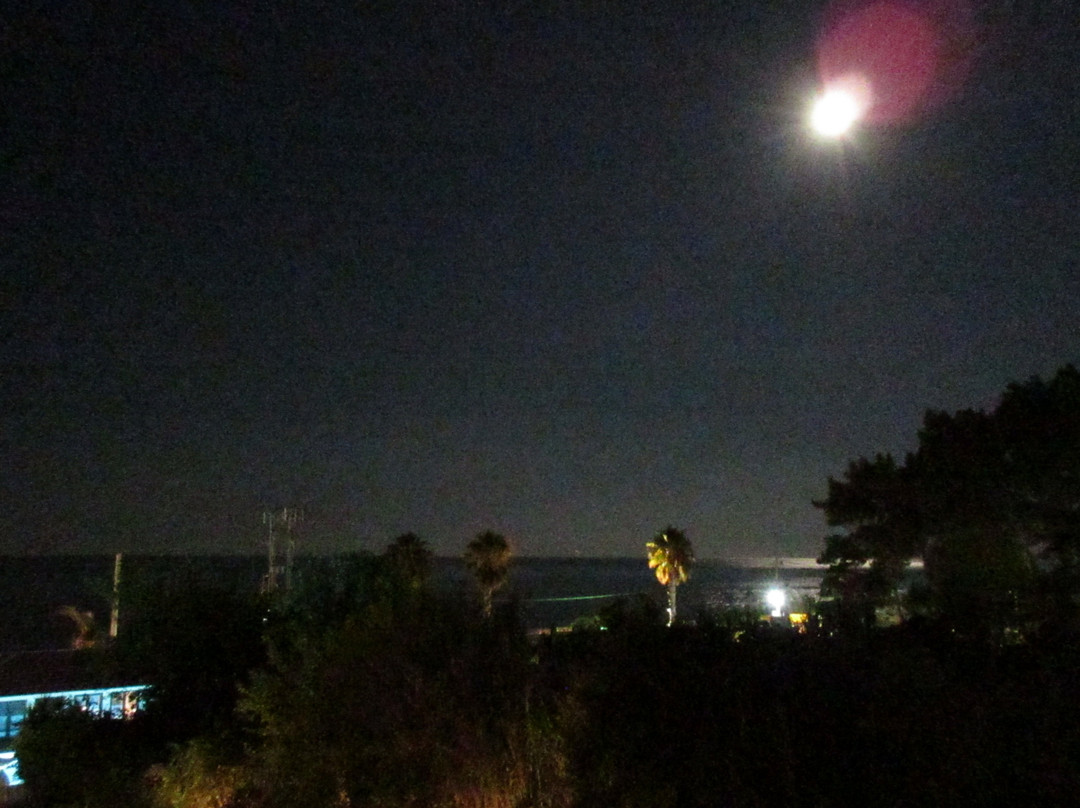 Tara Beach Hotel主图