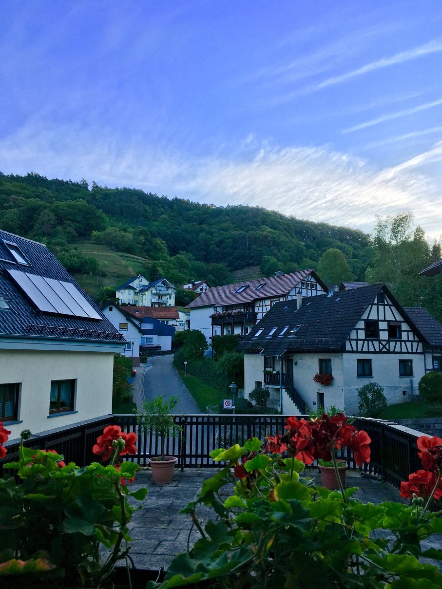 Hotel Rebstock Bühlertal-酒店景观