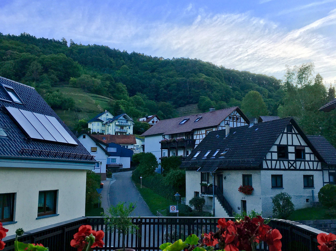 Hotel Rebstock Bühlertal主图