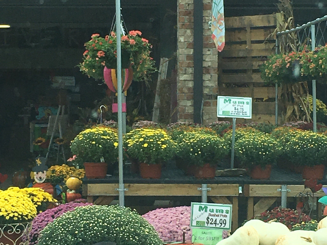 Byram Farmers Market景点图片