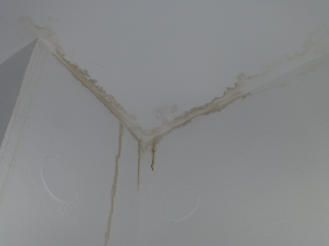 Joy Life Hotel主图