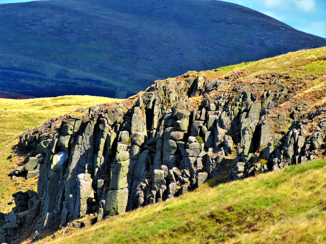 Kilmagad Wood-Kinross必去景点