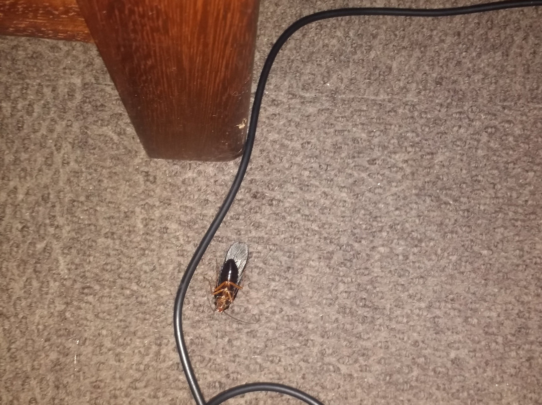 Mountainview Inn主图