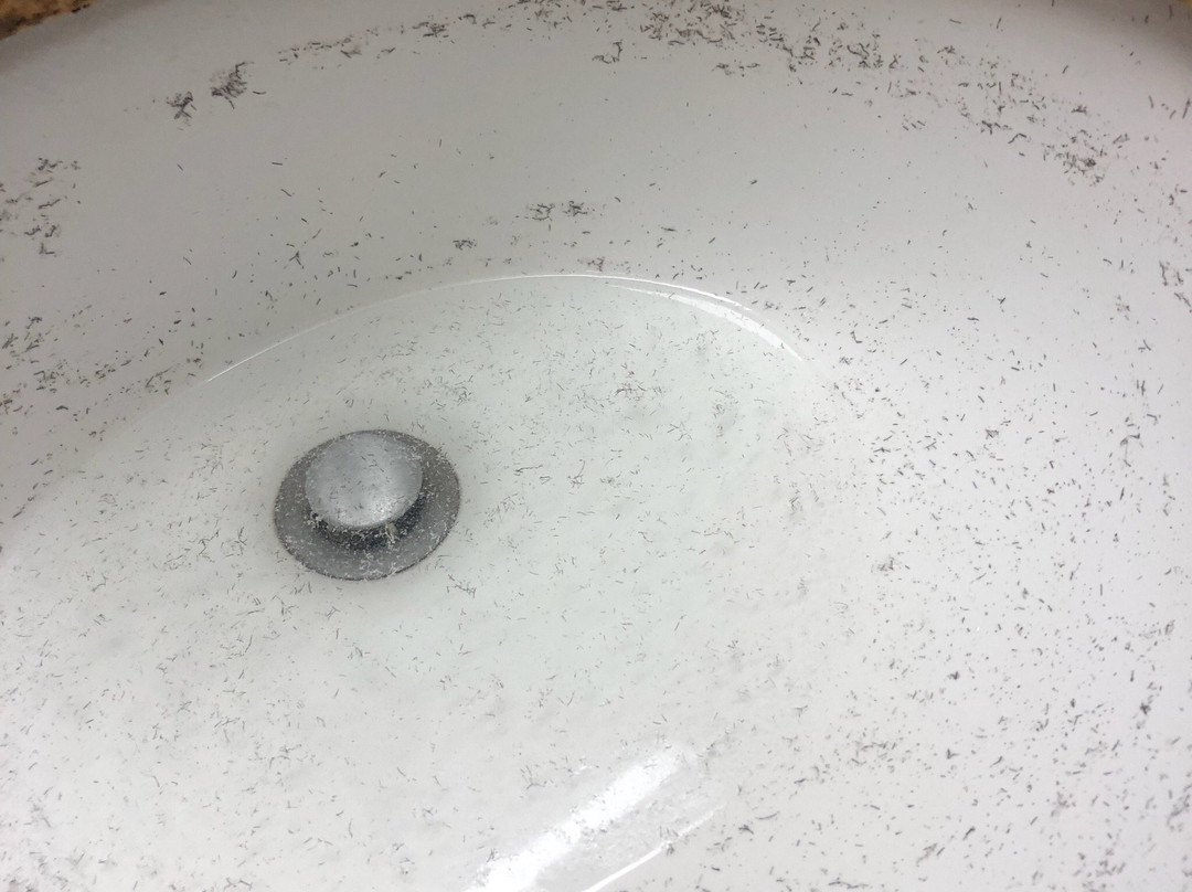 Hampton Inn Sudbury, Ontario主图