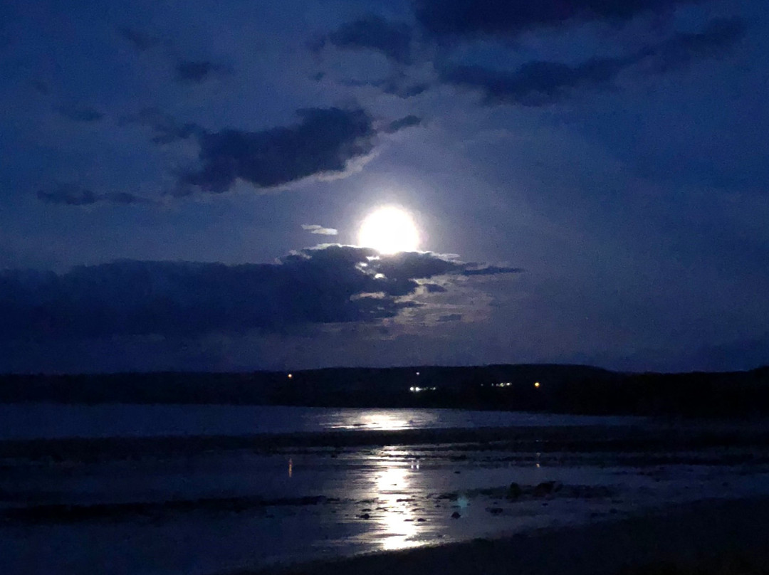 Thorntonloch Beach-Dunbar必去景点
