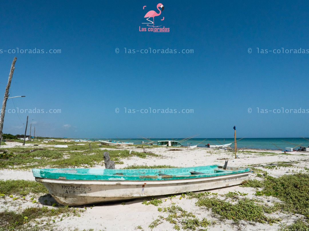 Las Coloradas Tours-普拉亚德尔卡曼必去景点