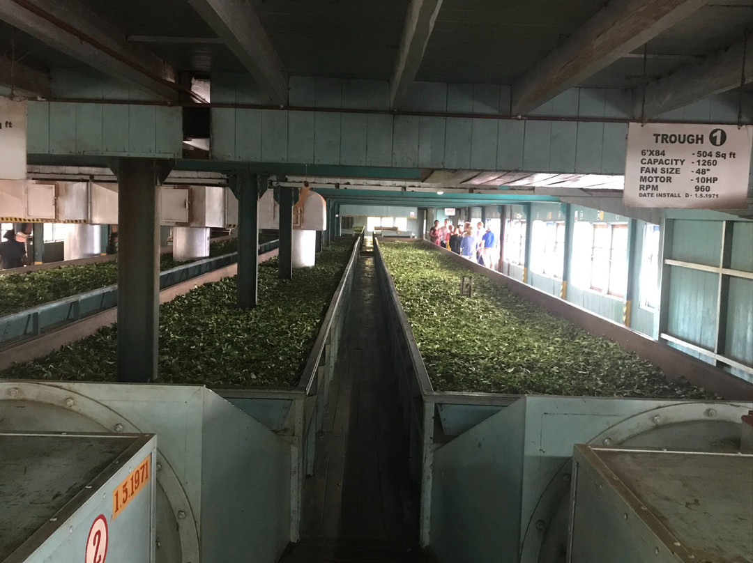 拉马伯达酒店住宿-Glenloch Tea Factory Hotel