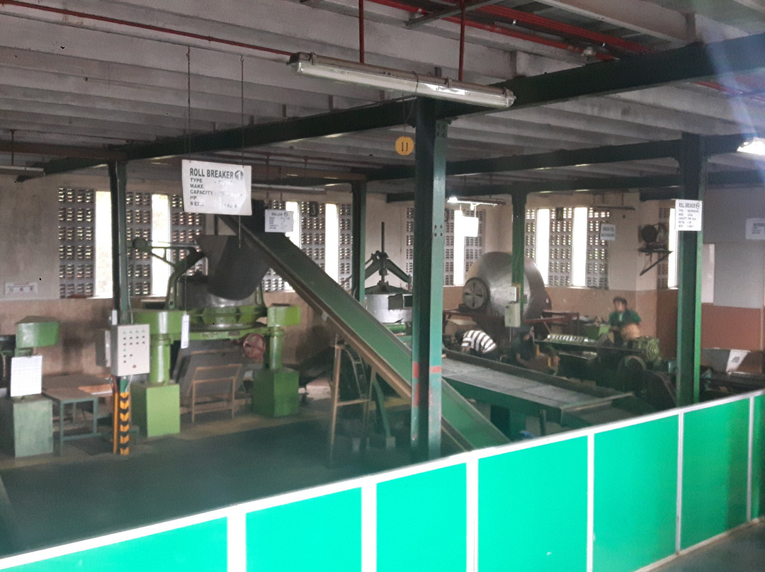 Glenloch Tea Factory Hotel主图