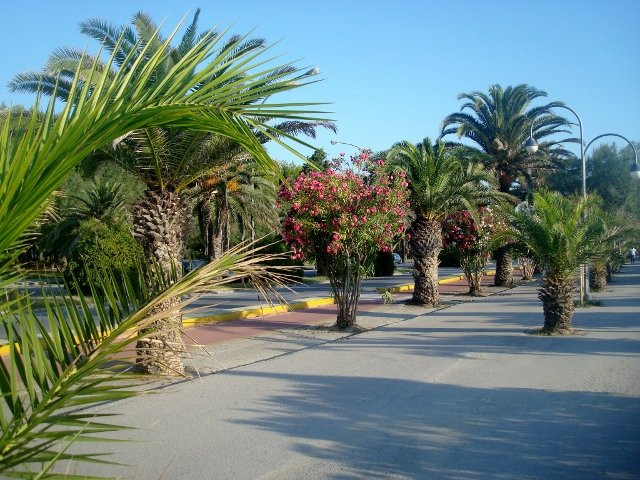Riviera delle Palme景点图片