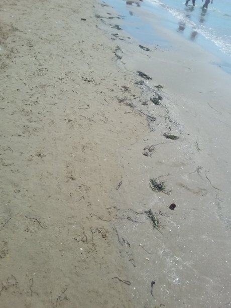 Hotel Rinia 2-泳池