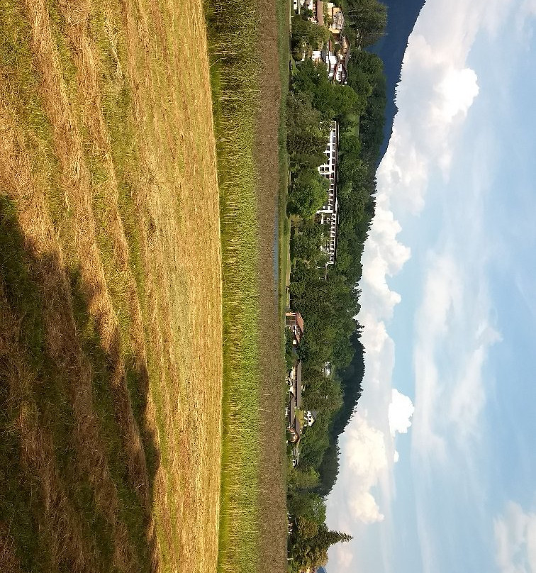 Moorbadeanstalt am Goldegger See-Goldegg am See必去景点