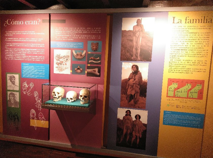 Museo Arqueologico de La Gomera景点图片