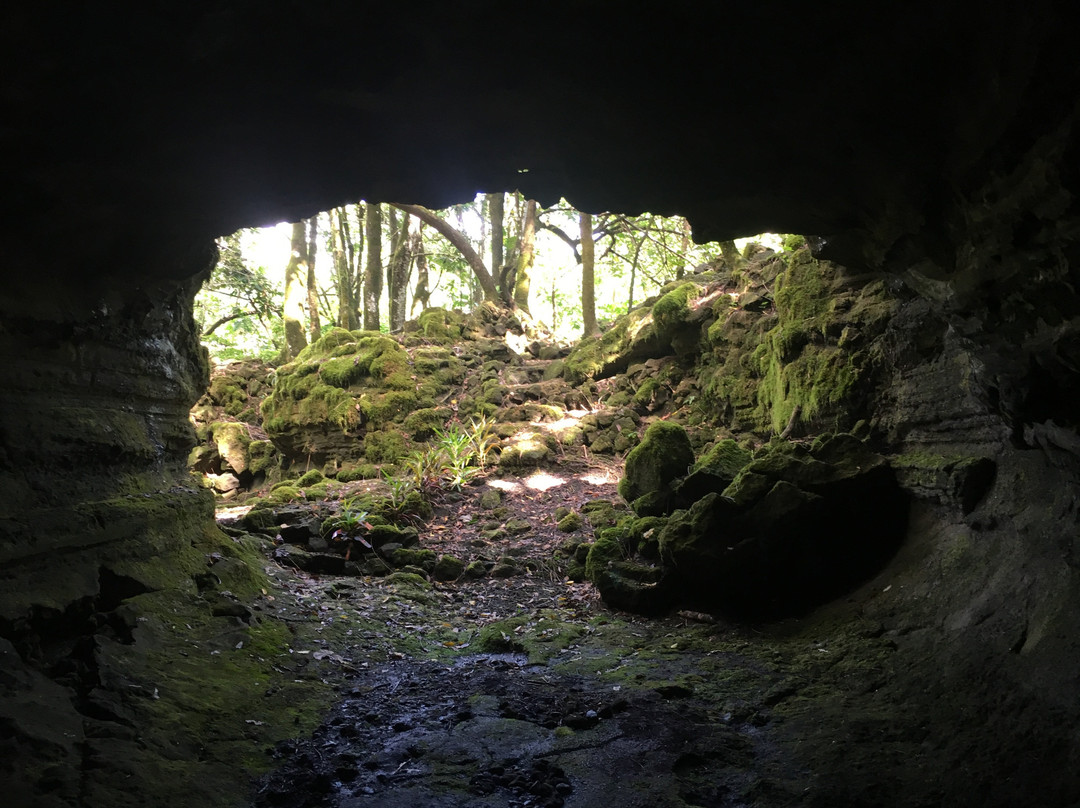 Aopo Lava Tubes-萨瓦伊岛必去景点