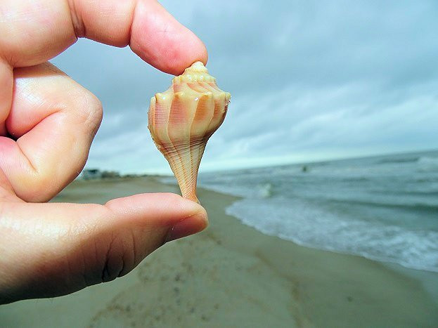 Fernandina Beach景点图片