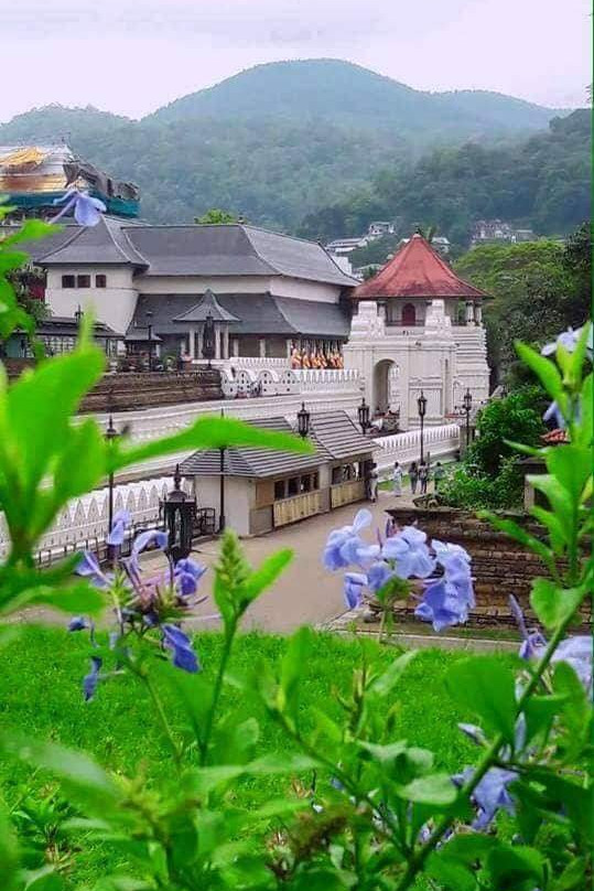 Ruvi Tours-尼甘布必去景点