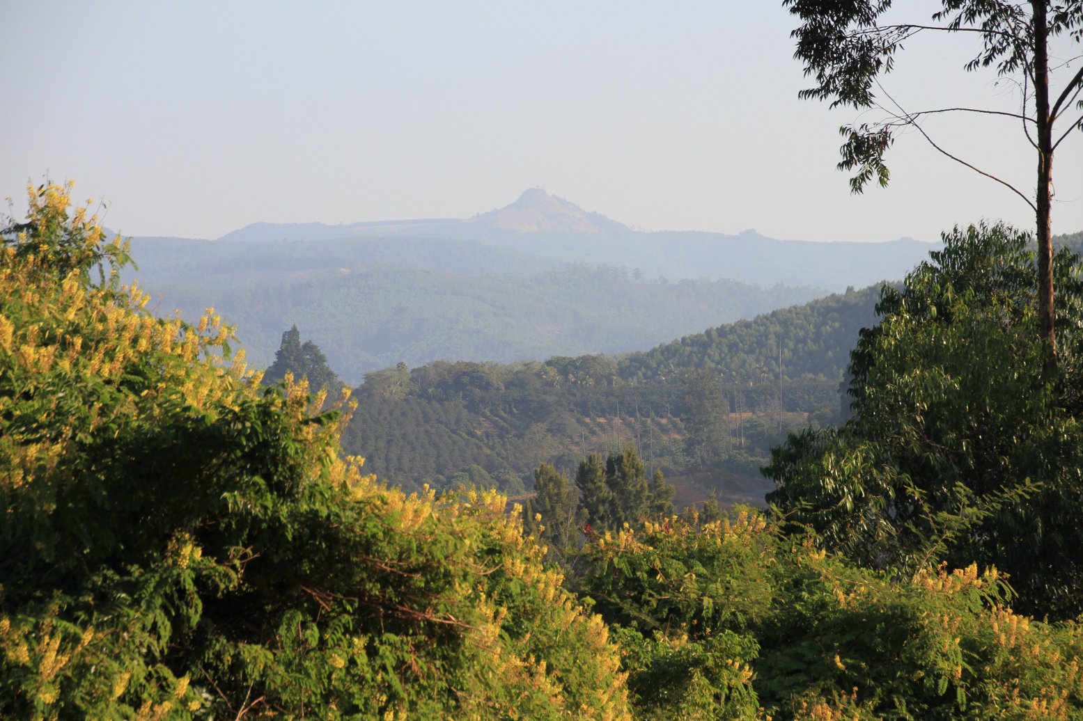Böhm's Zeederberg Country House-酒店景观