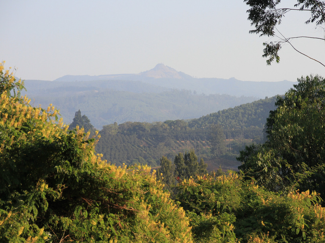 Böhm's Zeederberg Country House主图