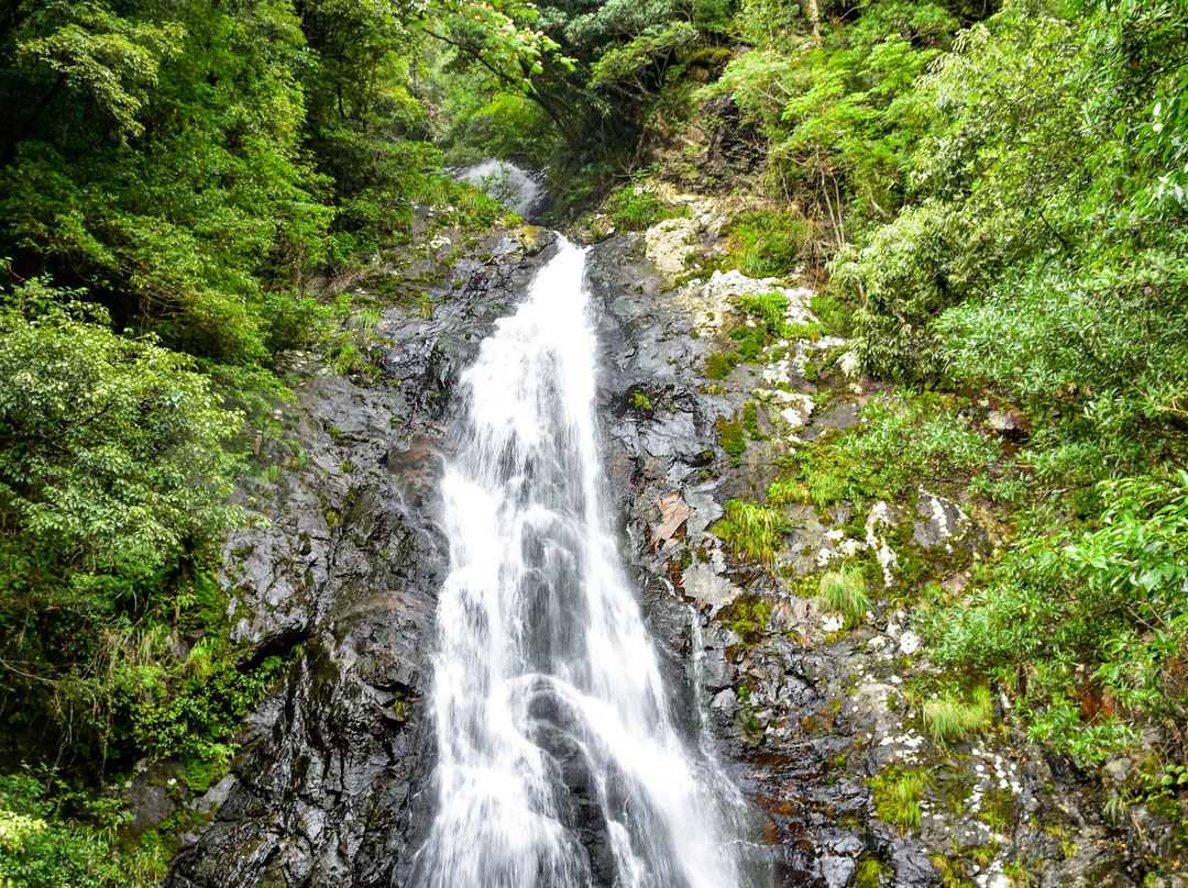 Yaoseo Waterfall景点图片